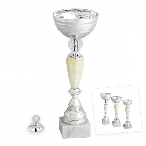 Ekonomický pohár Leonard C