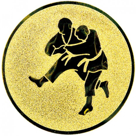 Judo emblém zlatá 50 mm