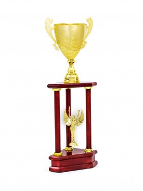 Stĺpová trofej Denali