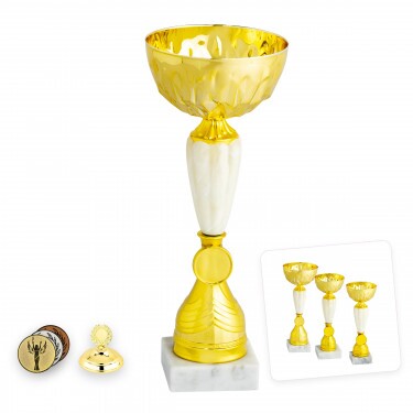 Ekonomický pohár Larion B