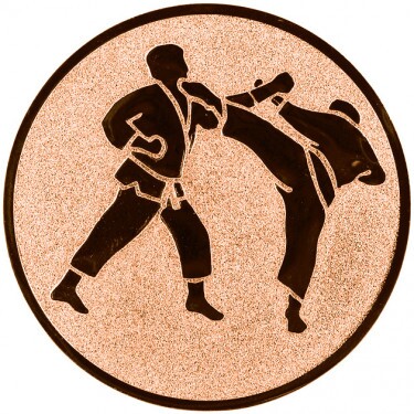 Karate emblém bronzová 50 mm