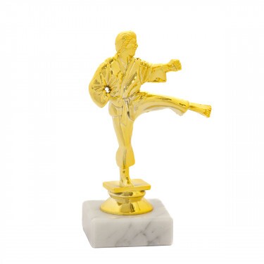 Karate (muži) zlatá figúrka so základňou