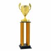 Stĺpová trofej Jakupica