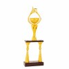 Stĺpová trofej Kilimanjaro