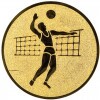 Volejbal (muži) emblém bronzová 25 mm