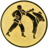 Karate emblém bronzová 50 mm