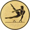 Gymnastika (muži) emblém zlatá 50 mm